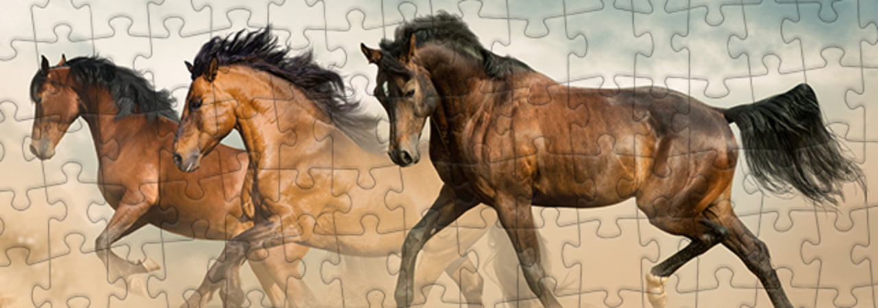 Welche Faktoren es bei dem Kaufen die Ravensburger pferde puzzle zu analysieren gibt!