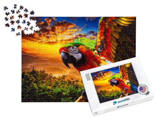 Jigsaw Puzzle Collections